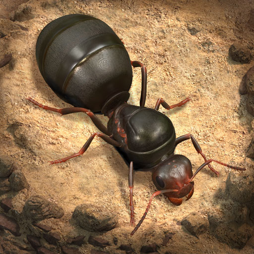 The Ants Top Up Philippines