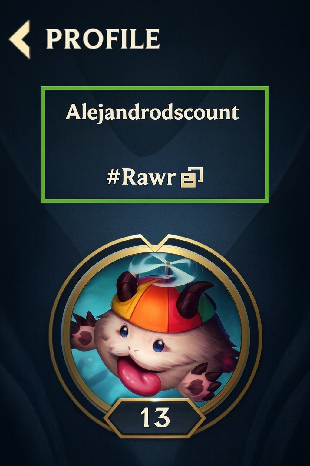 Instruction Wild Rift