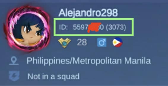 Instruction MLBB Verified Squad Rental